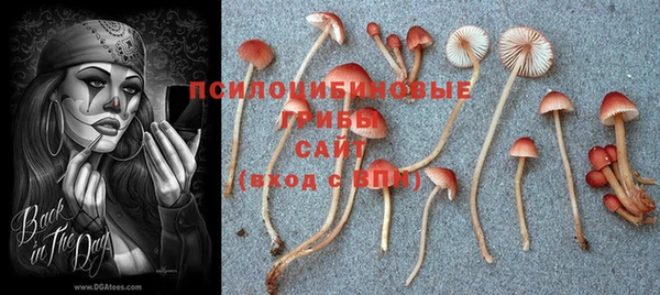 марки nbome Баксан